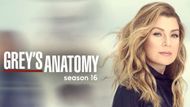 Grey's Anatomy (Image via Prime Video)
